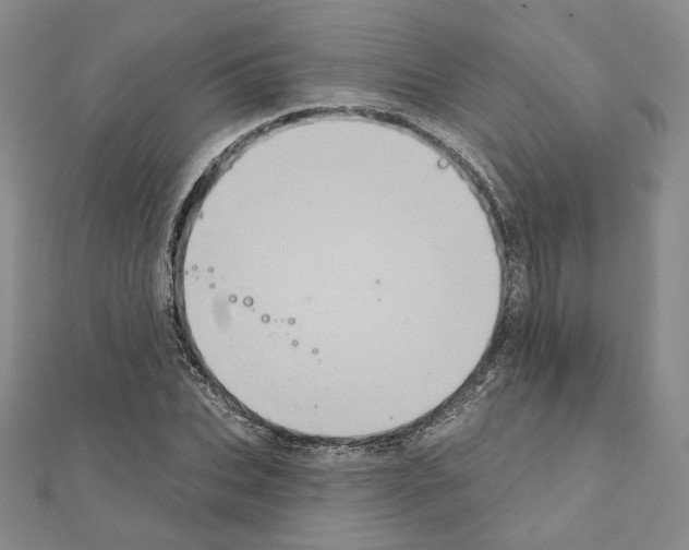 X0000111220927200908131058
