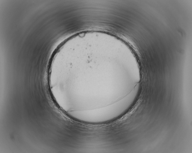 X0000111220928200908131058