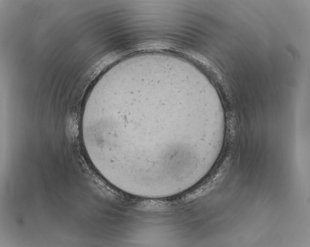 X0000111220929200908131058
