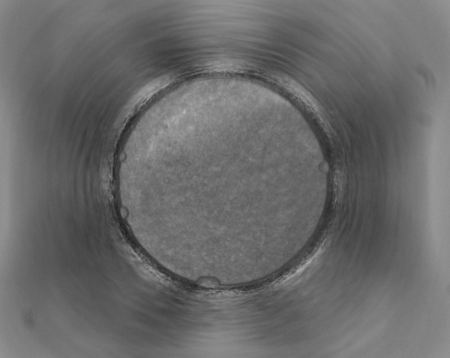 X0000111220930200908131058