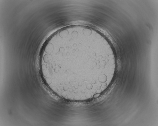 X0000111220931200908131058