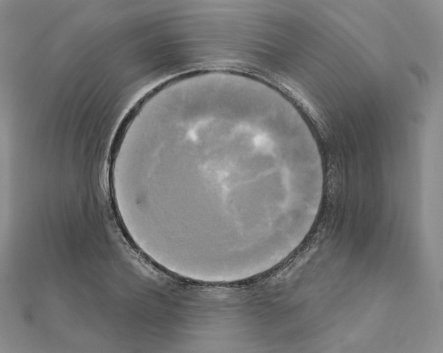 X0000111220932200908131058