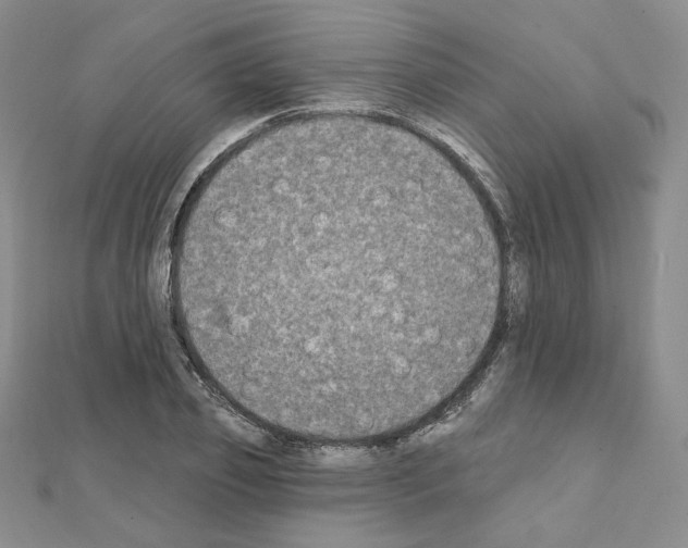 X0000111220933200908131058