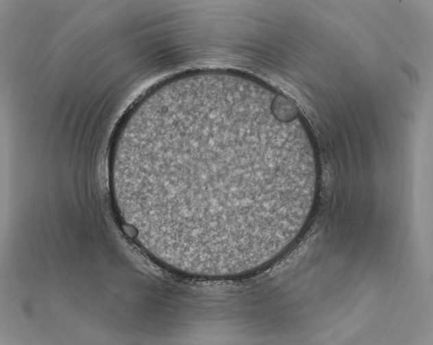 X0000111220934200908131058