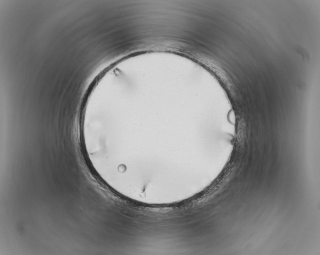 X0000111220936200908131058