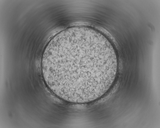 X0000111220937200908131058