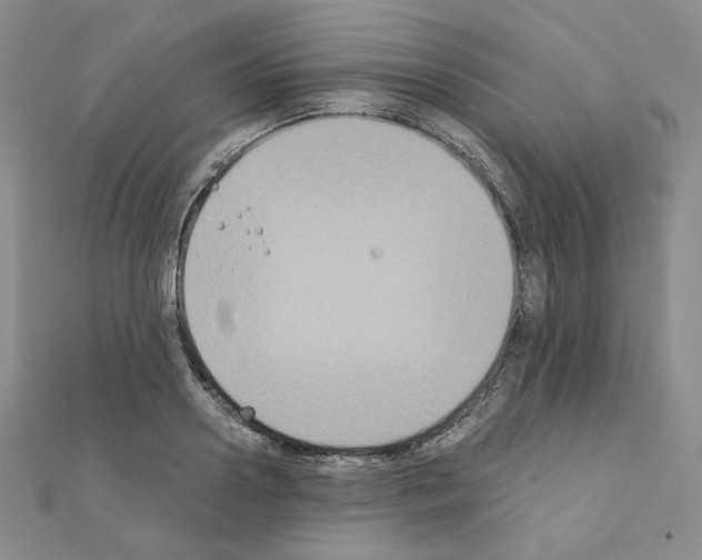X0000111220938200908131058