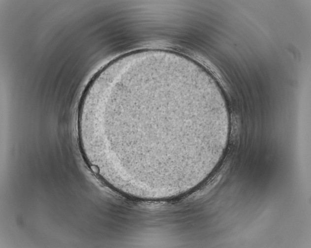 X0000111220939200908131058