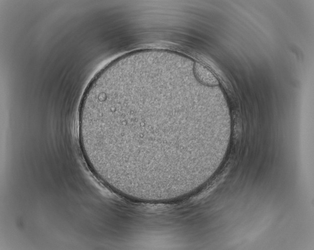 X0000111220940200908131058