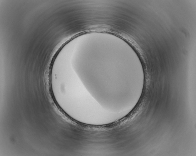 X0000111220941200908131058