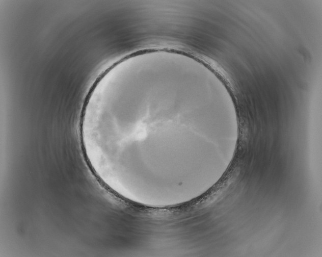 X0000111220943200908131058