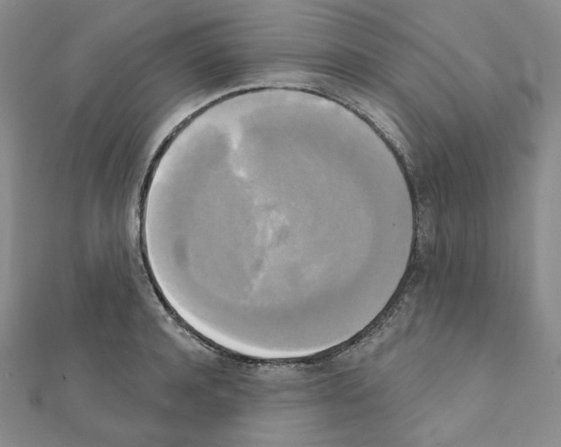 X0000111220944200908131058