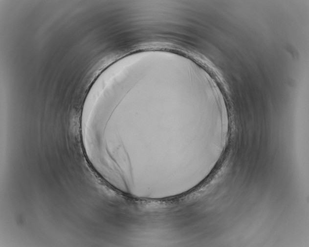 X0000111220945200908131058