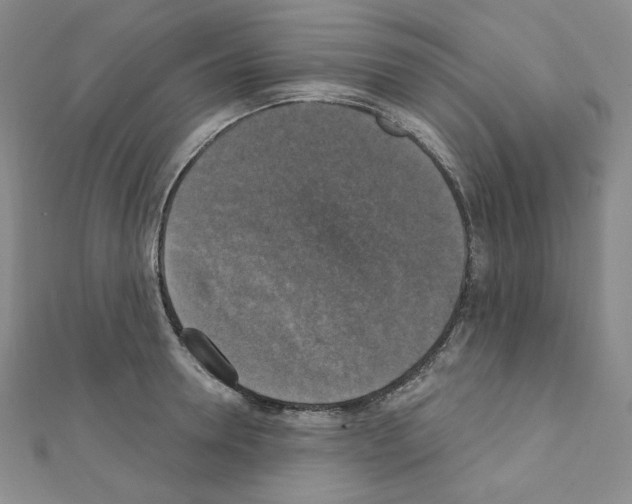 X0000111220946200908131058