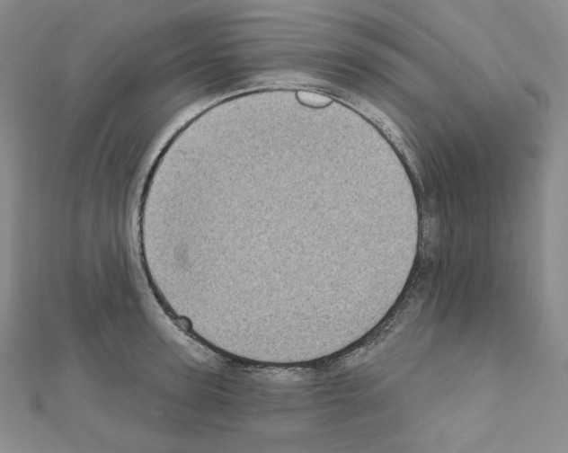 X0000111220947200908131058