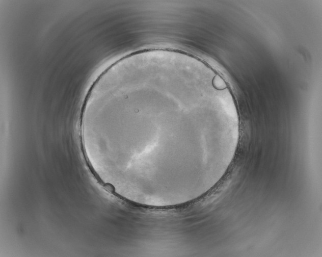 X0000111220951200908131058