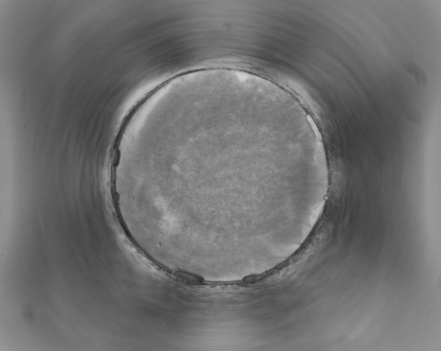 X0000111220952200908131058