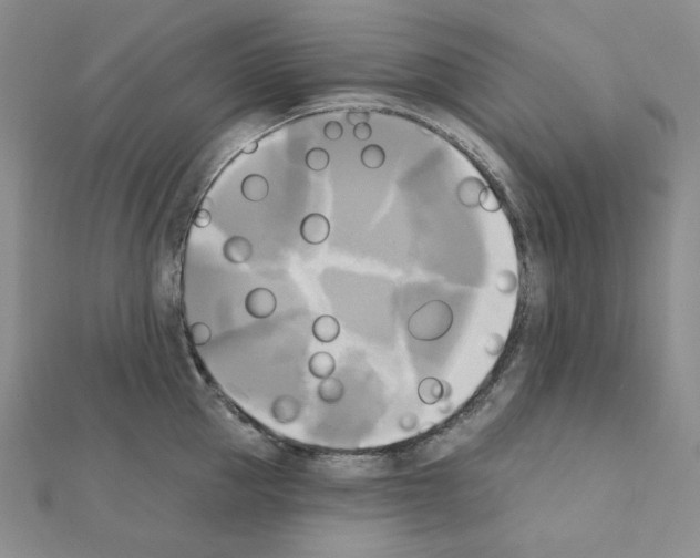 X0000111220953200908131058