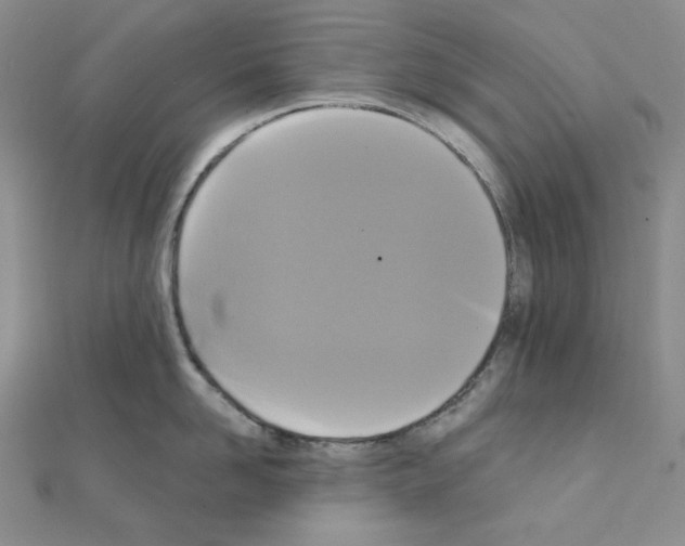 X0000111220958200908131058