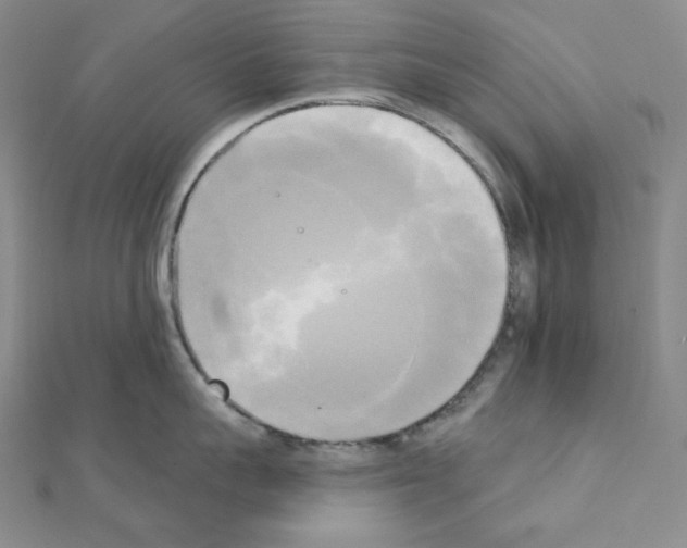 X0000111220959200908131058
