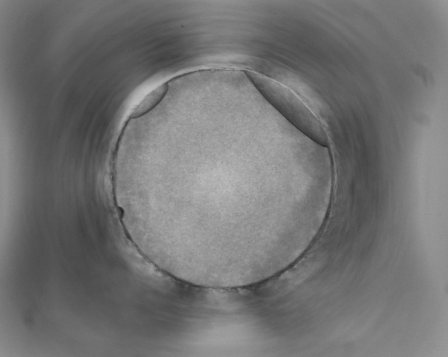 X0000111220960200908131058