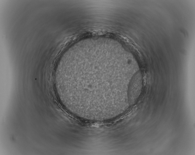X0000111220961200908131057
