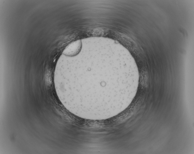 X0000111220962200908131057