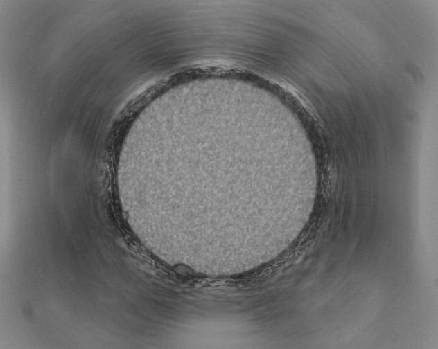X0000111220967200908131057