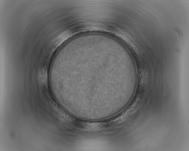 X0000111220969200908131057