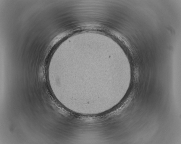 X0000111220970200908131057