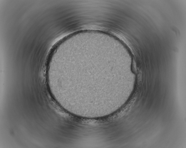 X0000111220971200908131057