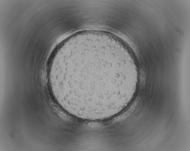 X0000111220974200908131057