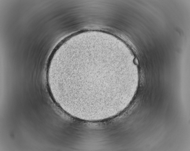 X0000111220976200908131057