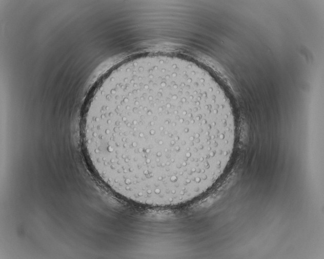 X0000111220978200908131057