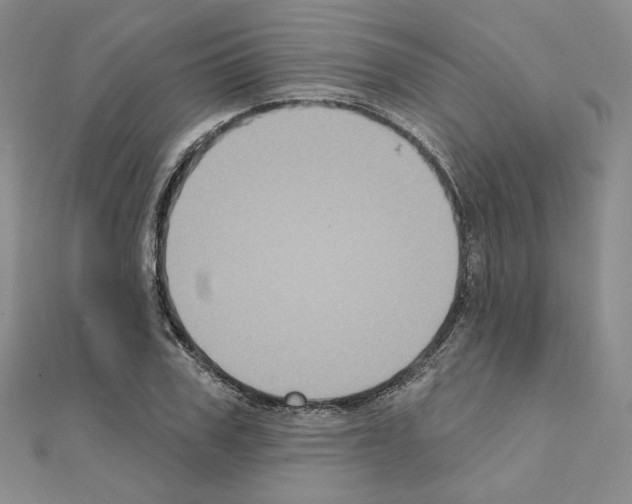 X0000111220979200908131057
