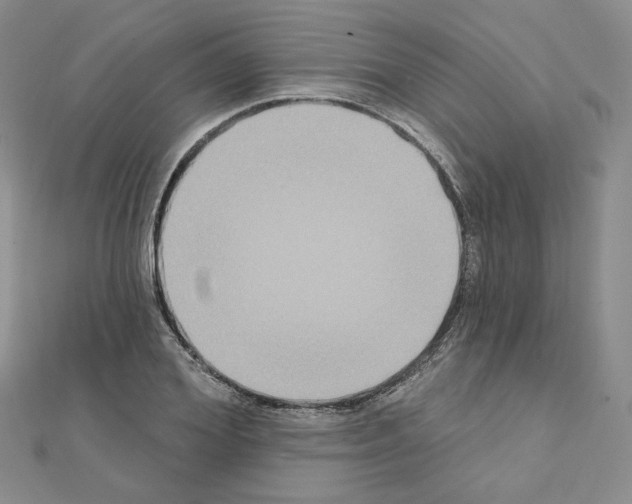 X0000111220980200908131057