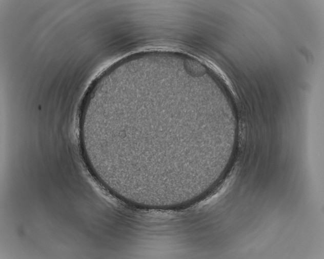 X0000111220981200908131057