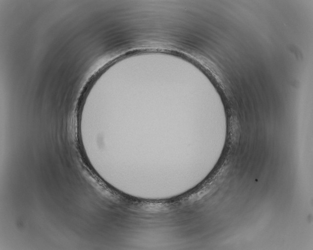 X0000111220982200908131057