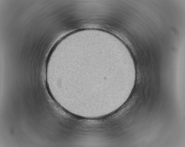 X0000111220984200908131057