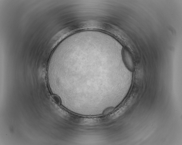 X0000111220985200908131057