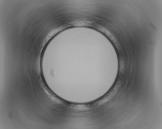 X0000111220986200908131057