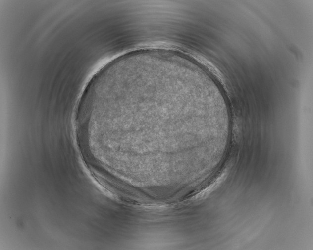 X0000111220989200908131057