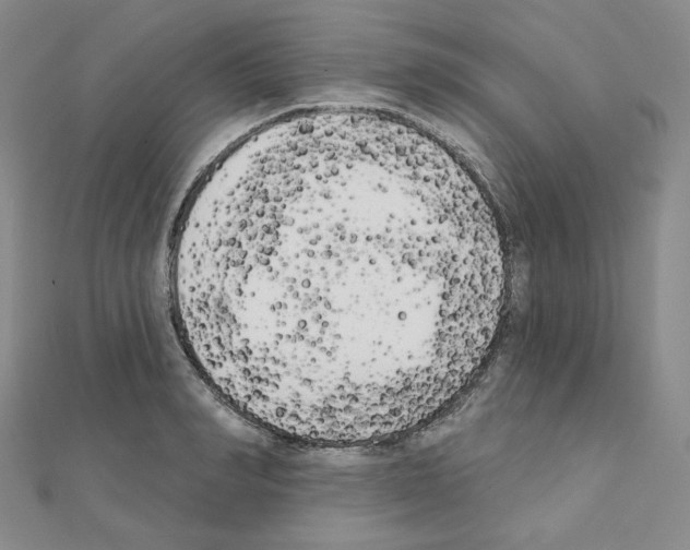 X0000111220990200908131057
