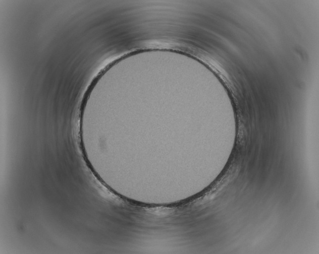 X0000111220992200908131057