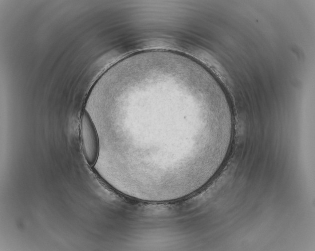 X0000111220993200908131057