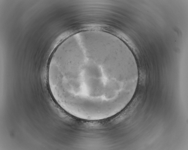 X0000111220994200908131057