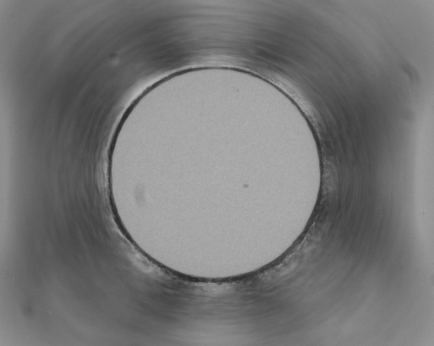 X0000111220996200908131057