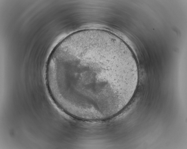 X0000111220997200908131057