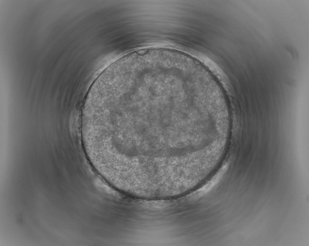X0000111221001200908131057