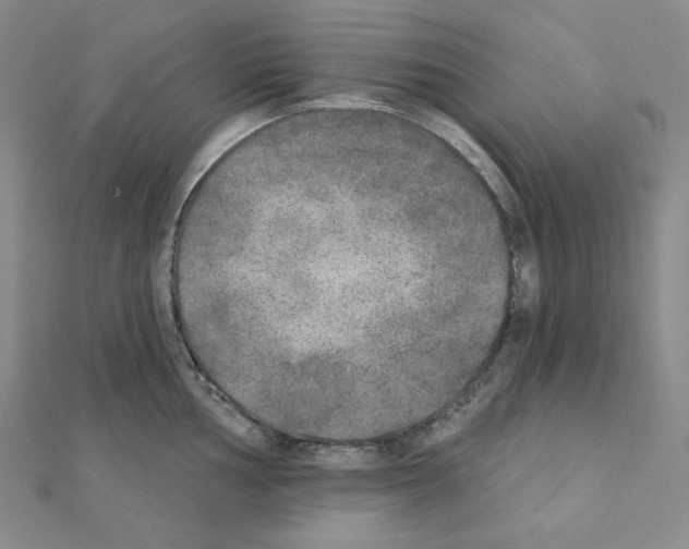 X0000111221002200908131057